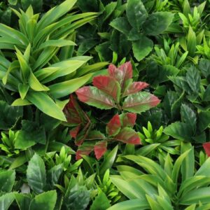 Jardín Vertical Artificial JUST HOME COLLECTION Bosque, medidas 100x100 cm. - Imagen 3